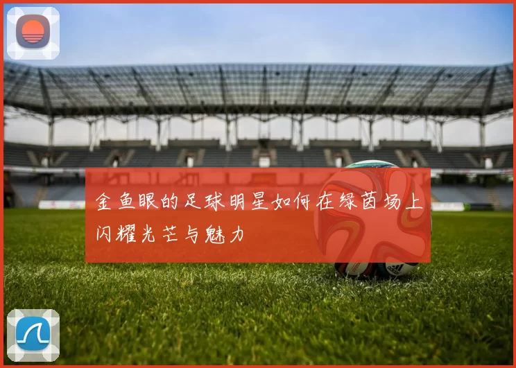 金鱼眼的足球明星如何在绿茵场上闪耀光芒与魅力