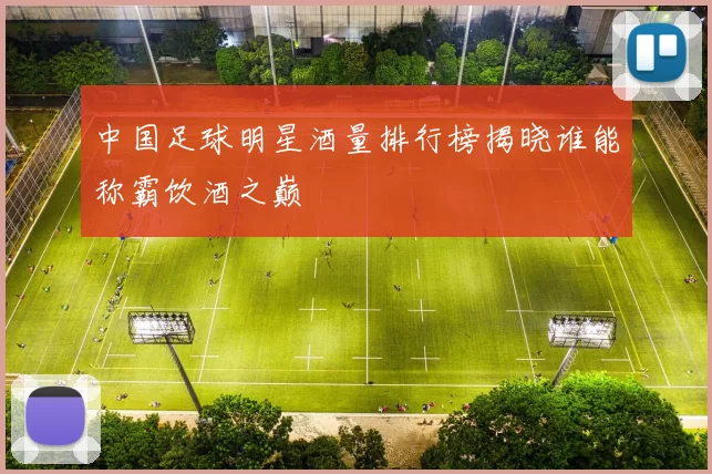 中国足球明星酒量排行榜揭晓谁能称霸饮酒之巅