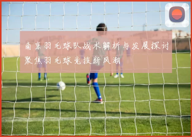 南京羽毛球队战术解析与发展探讨聚焦羽毛球竞技新风潮