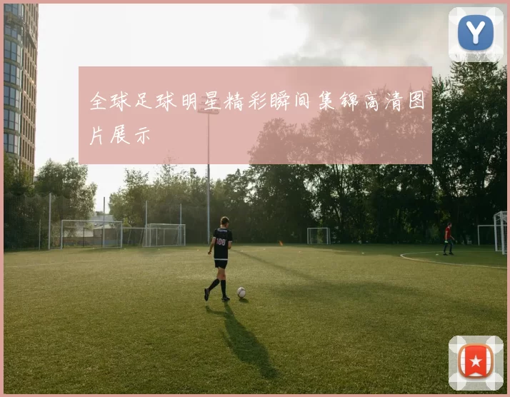 全球足球明星精彩瞬间集锦高清图片展示