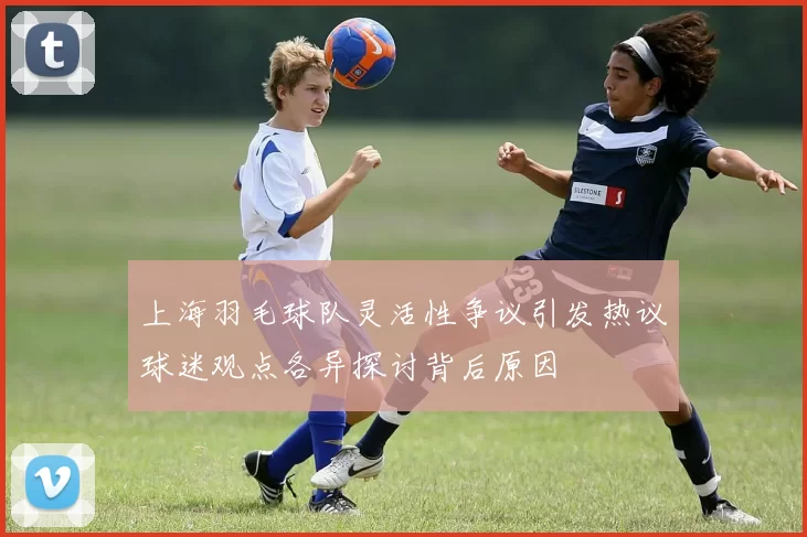 上海羽毛球队灵活性争议引发热议球迷观点各异探讨背后原因