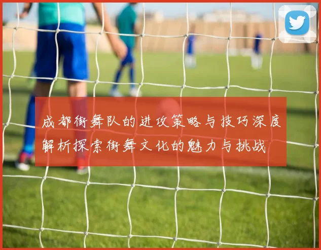 成都街舞队的进攻策略与技巧深度解析探索街舞文化的魅力与挑战