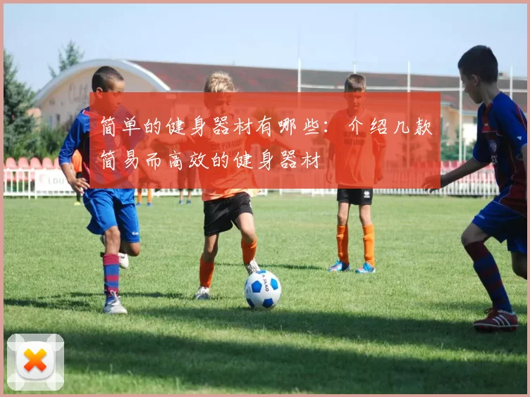 简单的健身器材有哪些：介绍几款简易而高效的健身器材