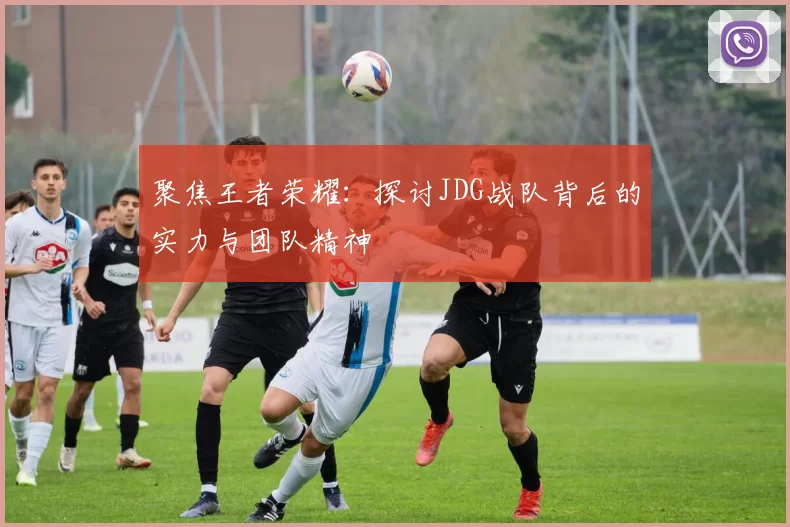 聚焦王者荣耀：探讨JDG战队背后的实力与团队精神