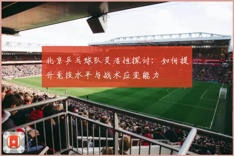 北京乒乓球队灵活性探讨：如何提升竞技水平与战术应变能力