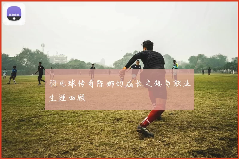 羽毛球传奇陈娜的成长之路与职业生涯回顾