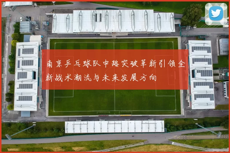 南京乒乓球队中路突破革新引领全新战术潮流与未来发展方向