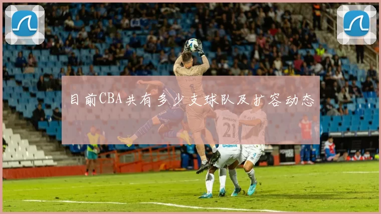 目前CBA共有多少支球队及扩容动态