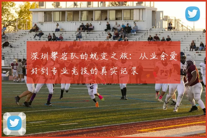 深圳攀岩队的蜕变之旅：从业余爱好到专业竞技的真实记录