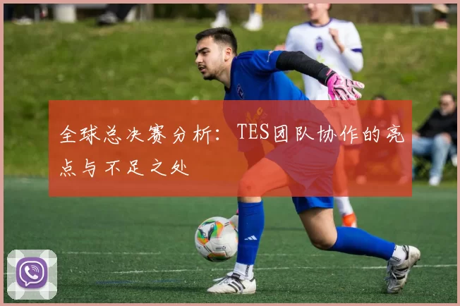 全球总决赛分析：TES团队协作的亮点与不足之处