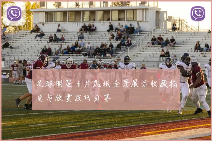 足球明星卡片贴纸全景展示收藏指南与欣赏技巧分享
