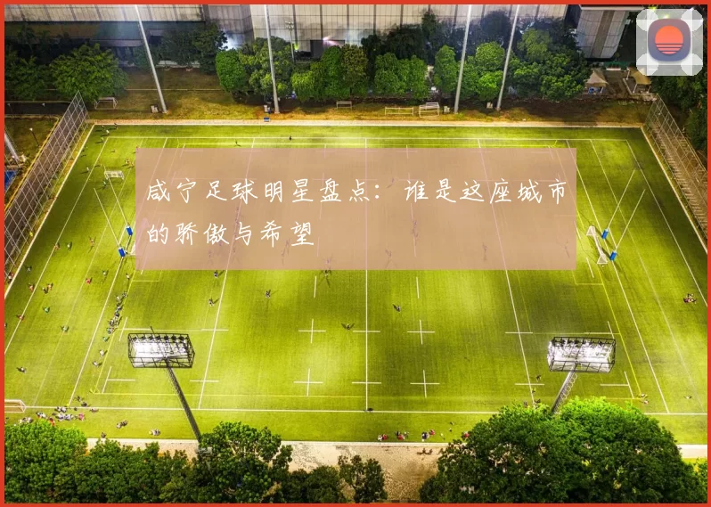 咸宁足球明星盘点：谁是这座城市的骄傲与希望