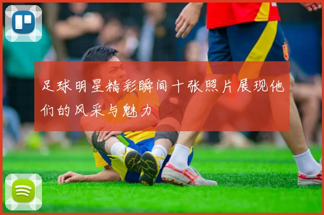 足球明星精彩瞬间十张照片展现他们的风采与魅力