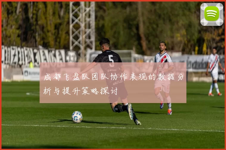 成都飞盘队团队协作表现的数据分析与提升策略探讨