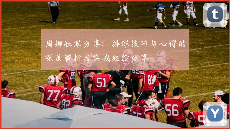 周娜独家分享：排球技巧与心得的深度解析与实战经验分享