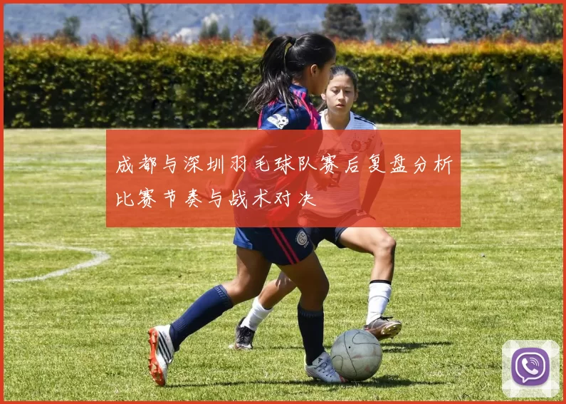 成都与深圳羽毛球队赛后复盘分析比赛节奏与战术对决