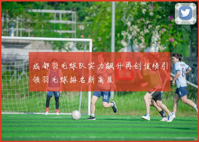 成都羽毛球队实力飙升再创佳绩引领羽毛球排名新高度