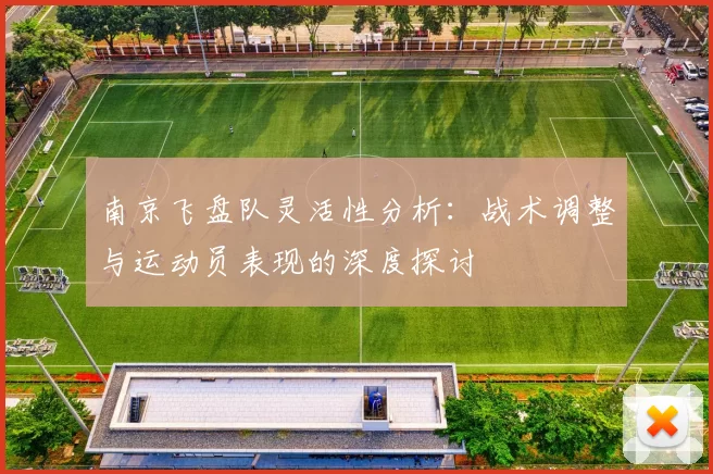 南京飞盘队灵活性分析：战术调整与运动员表现的深度探讨