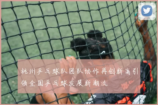 杭州乒乓球队团队协作再创新高引领全国乒乓球发展新潮流