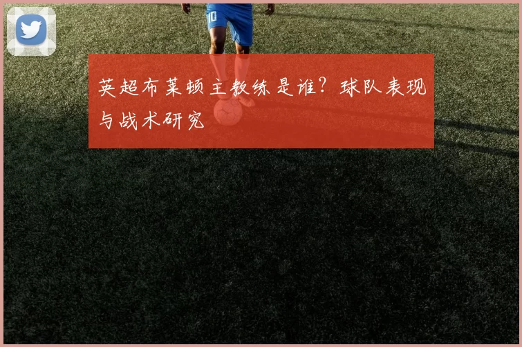 英超布莱顿主教练是谁？球队表现与战术研究