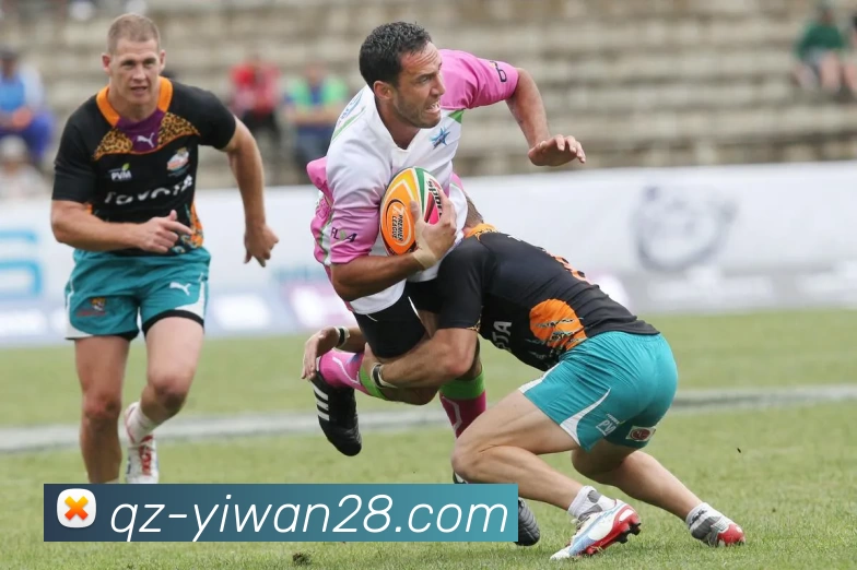 数据防护可视化